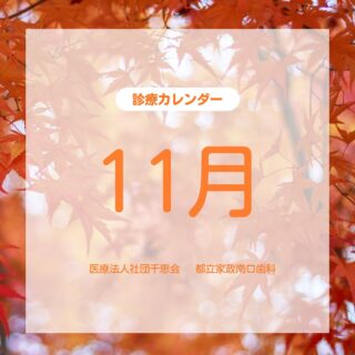 こんにちは⭐️
都立家政南口歯科です🦷
＝＝＝＝＝＝＝＝＝＝
11月の診療カレンダーのお知らせです🍁

秋晴れが心地よく、お出かけも楽しい季節になりましたね。
朝晩は少しづつ冷え込むようになってきましたが、ご無理のないようにお過ごしください🍂

来月もどうぞよろしくお願いいたします！
＝＝＝＝＝＝＝＝＝＝
🦷【都立家政南口歯科】🦷
〒165-0033
住所:東京都中野区若宮3丁目17-6
メゾンドグリシーヌ1階

#都立家政南口歯科 #東京都 #中野 #中野の歯医者さん #歯科医院 #歯科医師 #歯科衛生士 #診療カレンダー #11月 #都立家政 #インビザライン #ホワイトニング #pmtc #ボトックス #セラミック#ジルコニア #インプラント#義歯 #一般歯科 #小児歯科 #矯正歯科 #訪問診療